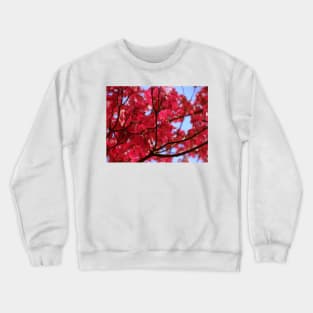 Pink Dogwood Crewneck Sweatshirt